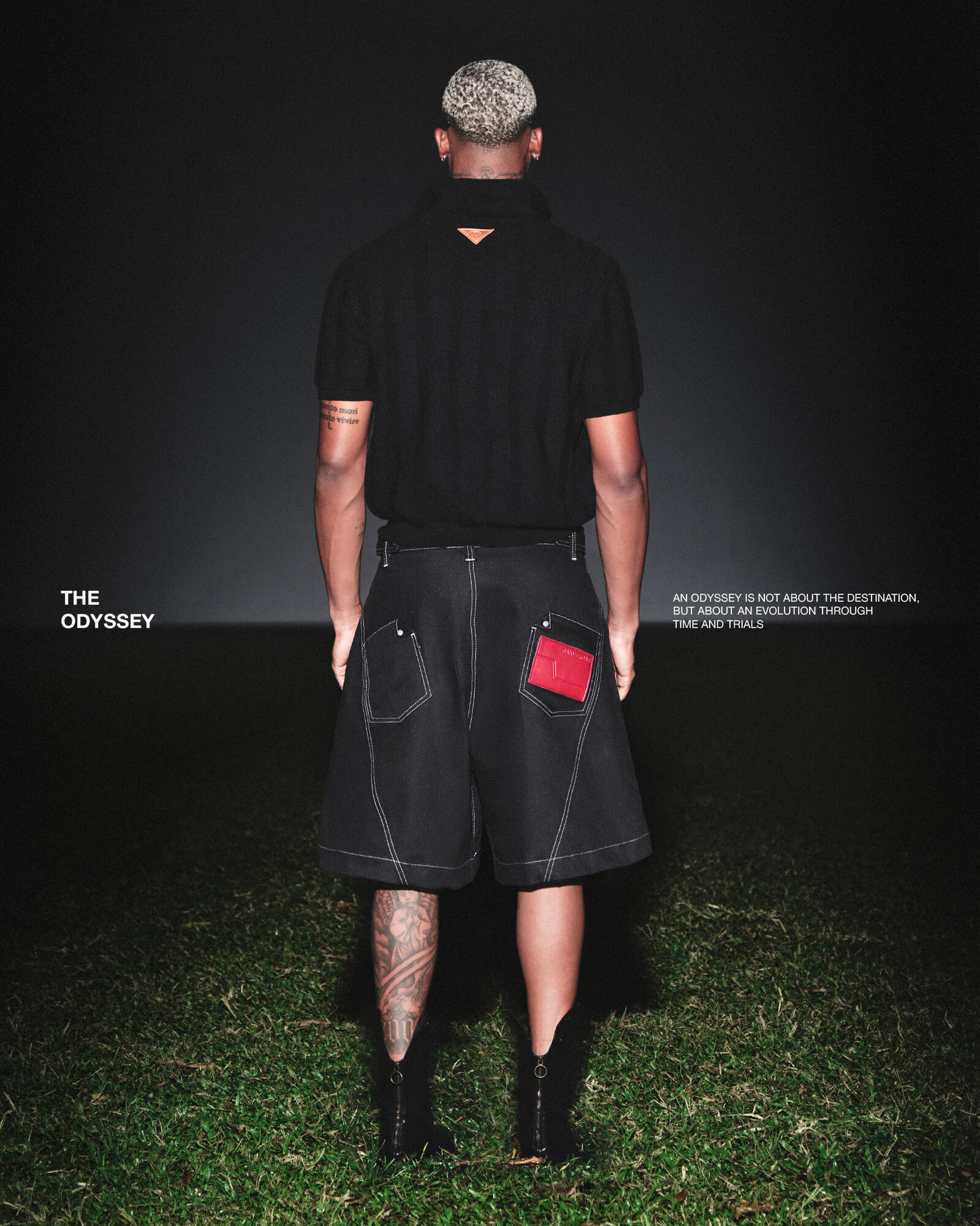 Odyssey Collection 15
