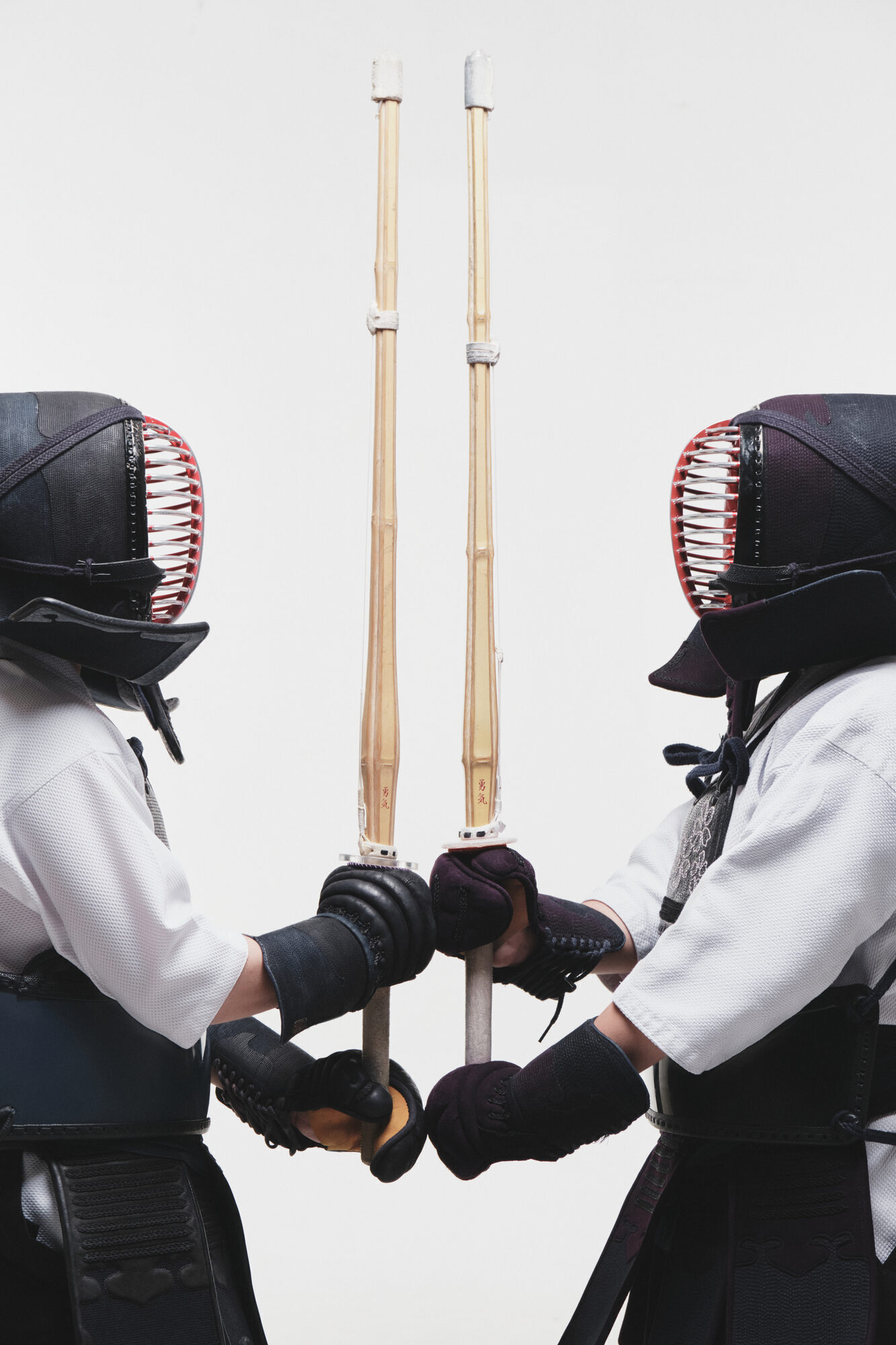 Shinka Collection Campaign 19